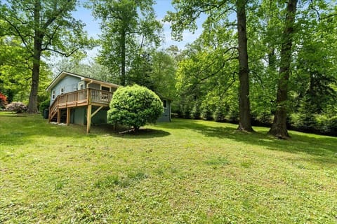 Spacious open back yard