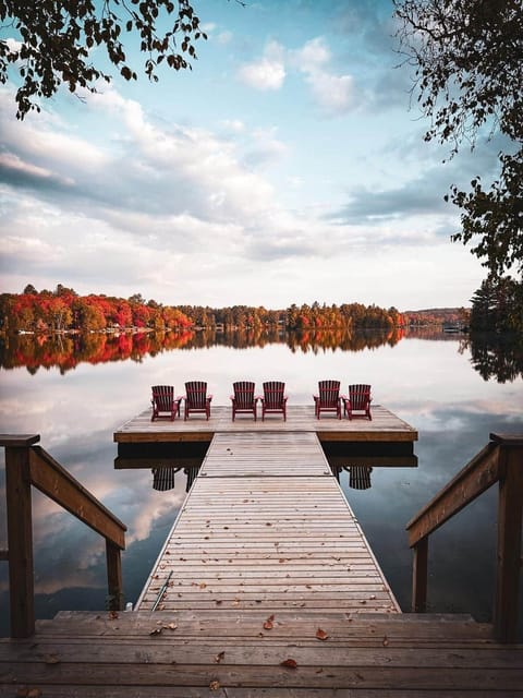 Cover Photo ( Dock )