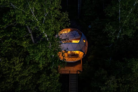 Overhead View