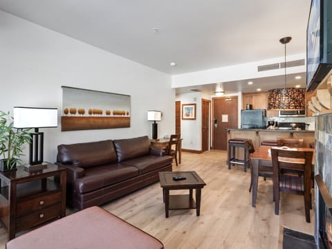 Living Area / Sofa Bed
