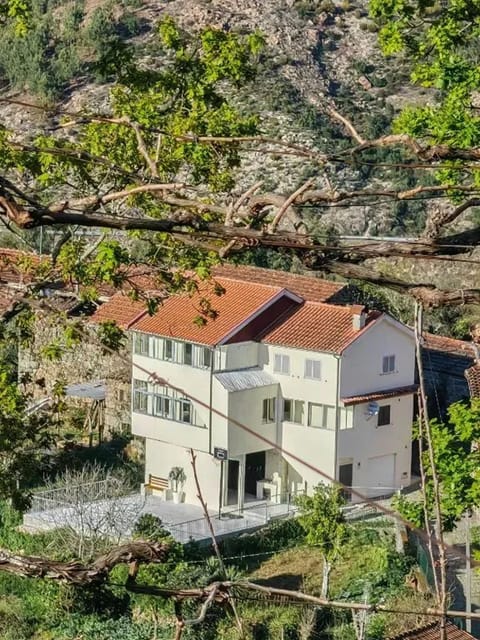Front view
