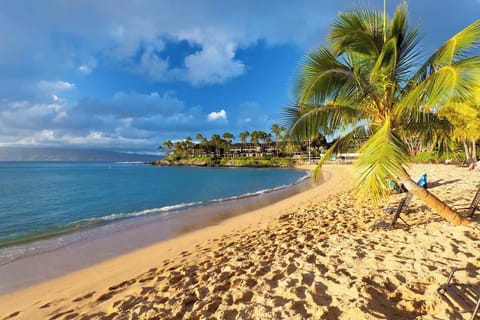 Just steps from beautiful Napili Bay Beach, enjoy soft golden sand, crystal-clear waters, and swaying palm trees in one of Maui’s most loved beach destinations. Perfect for swimming, snorkeling, sunset walks, and relaxing tropical island days.