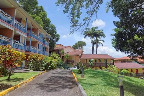 Front view