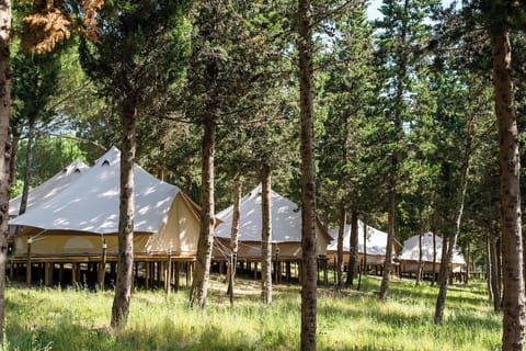 Exterior view of the unit