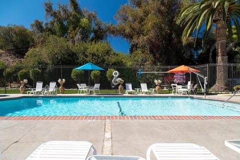 Soak up the sun with tranquil views across the pool.