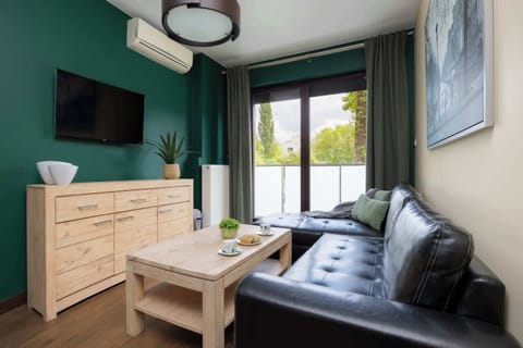 A compact living room with a black sofa, wooden furniture, and a large window letting in natural light. Green accent walls and modern decor create a cozy atmosphere.