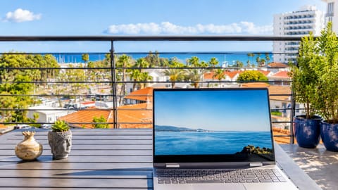 Spacious terrace with panoramic seaview