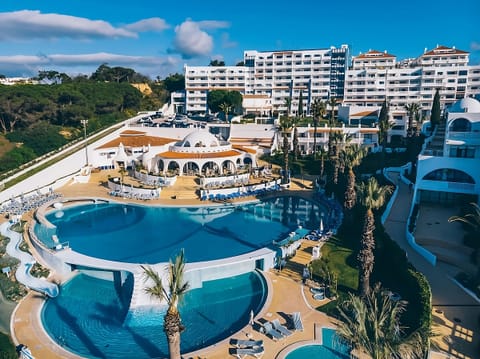 Dive into the expansive pool framed by palms and sunshine.