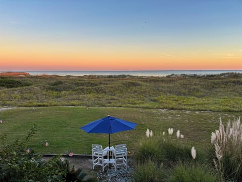 The backyard
