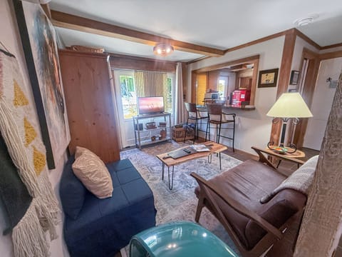 Cozy cabin-style living room with bar seating and warm wood accents. Twin futon 