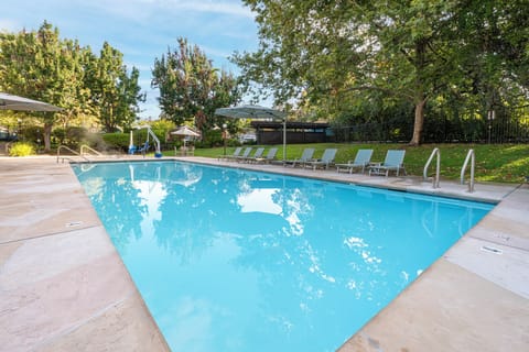 Stretch out on loungers and savor the peaceful, tree-lined pool.