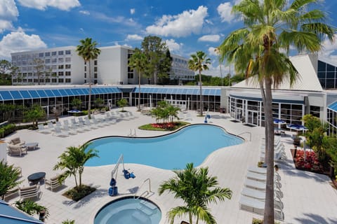 Unwind poolside under swaying palms and bright blue skies.