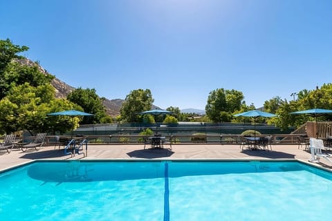 Dive into crystal-blue water beneath bright, carefree sunshine.