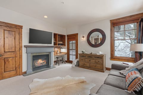 Murphy bedroom with a kitchenette and gas fireplace