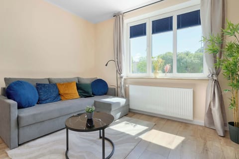 A bright living room with a gray sofa, a small coffee table, and a large window. Natural light makes the space feel warm and inviting.