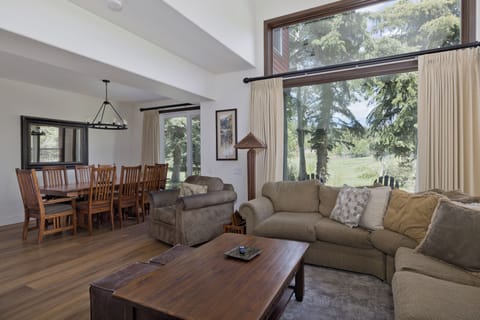 Living Room and Dining area