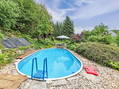Shrub, Swimming Pool, Garden, Landscaping, Yard, Shade, Backyard, Evergreen, Eco Hotel