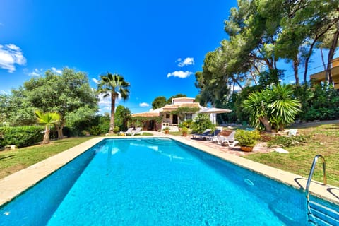 Pool C 1