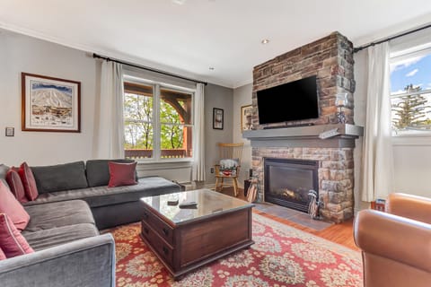 Living Rm with Full sofa bed