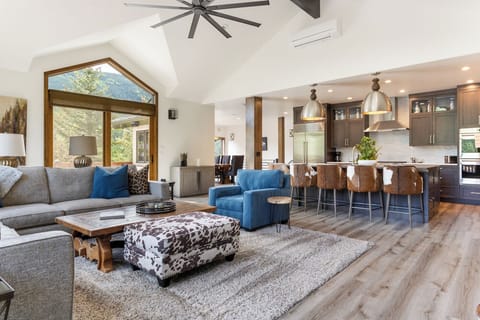 Living Room/Kitchen