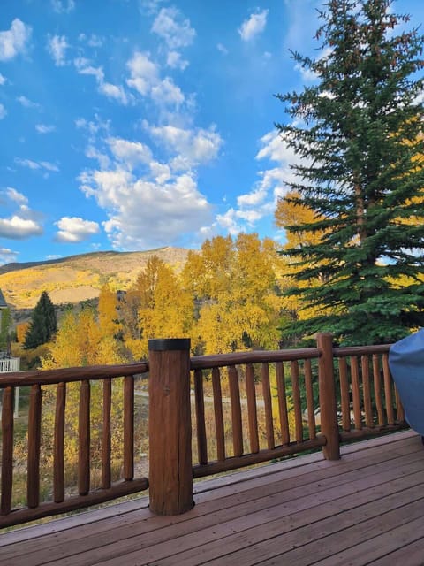 Large deck off the living and dining area provides stunning views of the surrounding mountains. Complete with cushioned furniture, new gas BBQ grill and plenty of space to relax. 