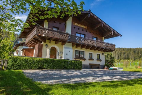 Main view of the building in summer