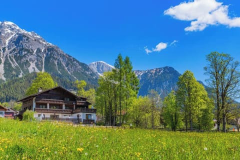 Main view of the building in summer