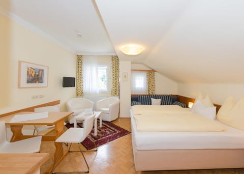 Living, dining, and sleeping area with a TV