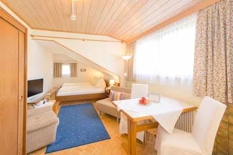 Bedroom and living area with a TV