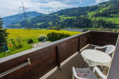 View of the garden