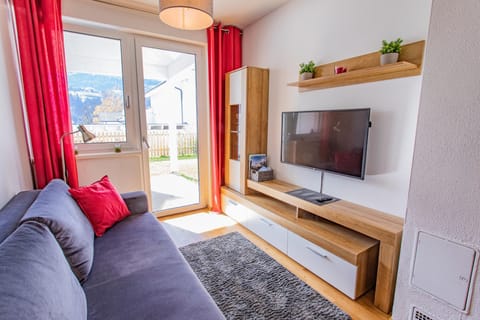 Living room, sofa bed and TV