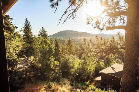 Good morning from Verano Cabin!