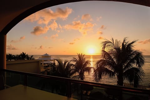 Ocean-view property with palm-lined balconies framing golden sunsets over the sea. Tropical architecture meets beachfront proximity.