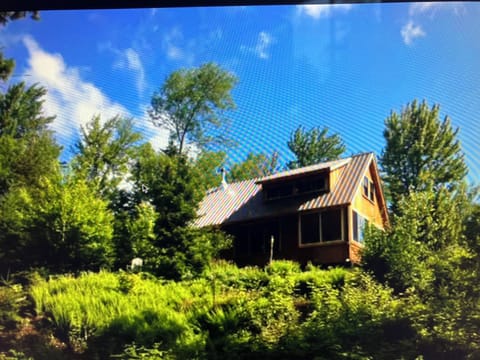 View of the cabin which is 100 yards of the dead end road. Very private.