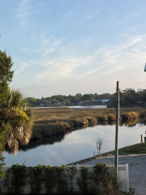 Awesome view of the main river