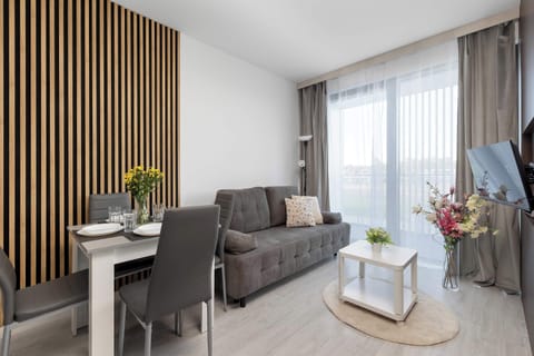 Bright and stylish apartment featuring modern furnishings, a comfortable sofa, and abundant natural light.