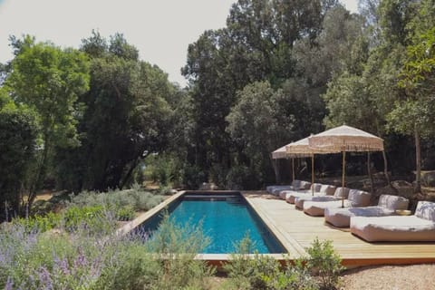 Swimming pool view
