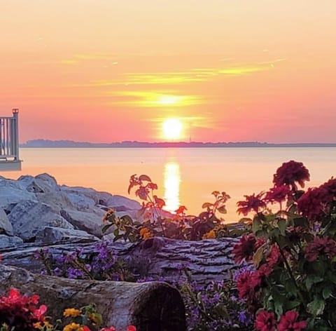 Sunset at The Shores