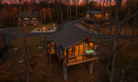 Cabin1*
