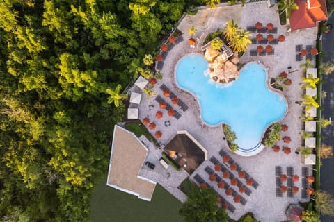 Picture your day from above—loungers, palms, and blue water.
