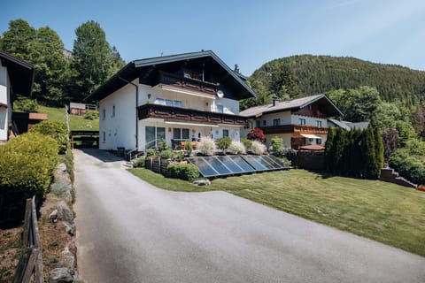Main view of the building in summer