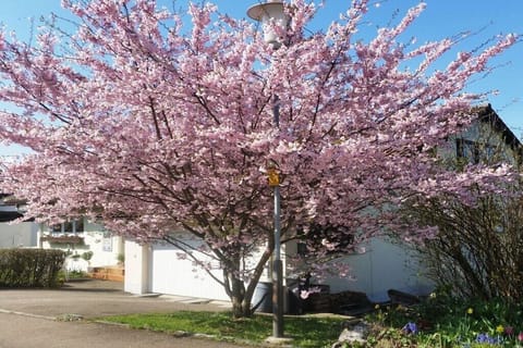 Untagged