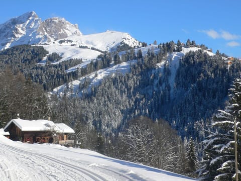 Snow, Mountainous Landforms, Mountain, Tree, Winter, Mountain Range, Highland, Hill, Hill Station, Landscape