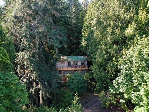 Welcome to Ocean Vista in the woods