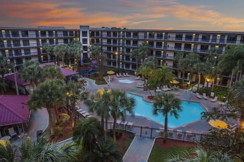 Unwind at sunset beside the glowing pool and palms.
