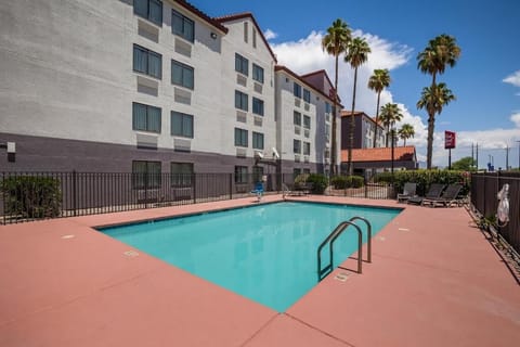 Dive into refreshing swims beneath sunny palm-lined skies.