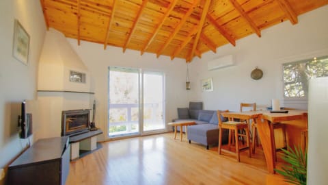 Bright living room with a fireplace, cozy wooden ceiling, sofa, and dining area.