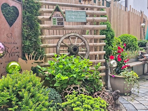 Garden, Shrub, Floristry, Flowerpot, Landscaping, Backyard, Yard, Houseplant, Floral Design