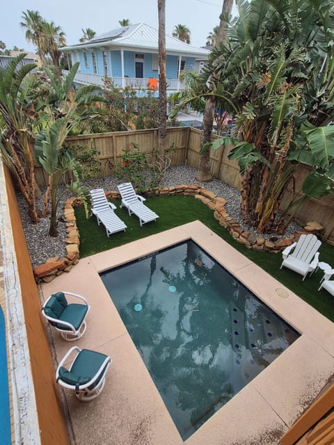 Unwind in our tropical backyard featuring thoughtfully designed landscaping, sparkling dipping pool, and lounge seating.