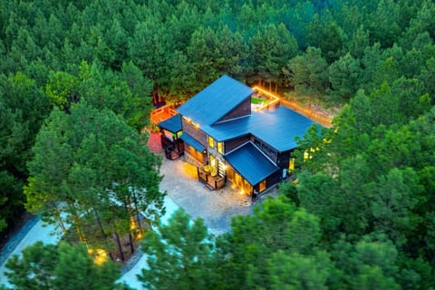 Drone shot at twilights showing the towering pines, rooftop patio, and concrete drive.
